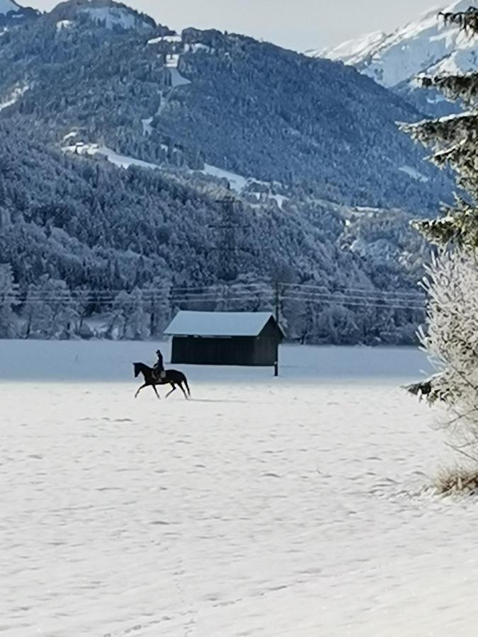 Landhaus Marie Hermagor-Pressegger See Luaran gambar